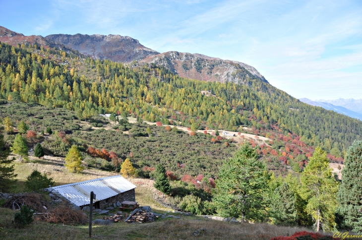 Descente de Mont Coburne - Longefan - Orelle