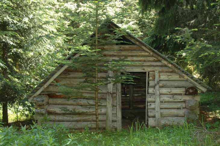 Chalet des Bergamasques ( Pontamafrey ) - Pontamafrey-Montpascal