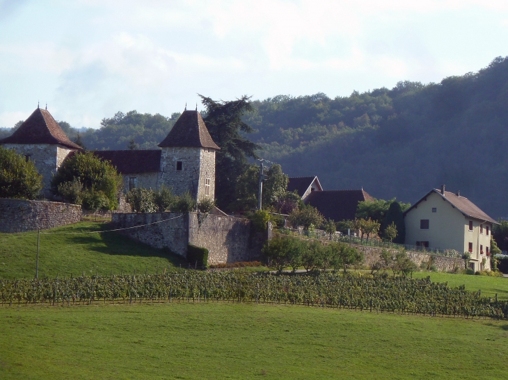 Vue sur le village et le château - Rochefort