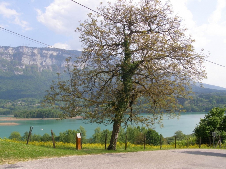 Vue sur le lac prise pres de la mairie et de l 'eglise - Saint-Alban-de-Montbel