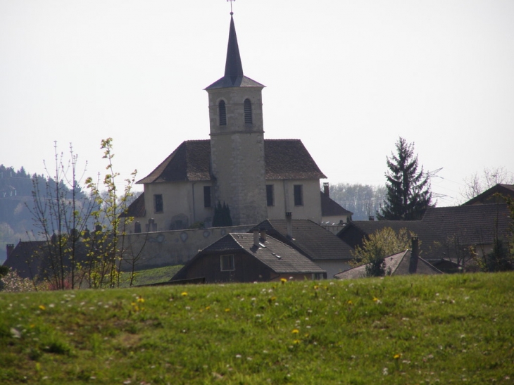 Eglise de Saint Alban - Saint-Alban-de-Montbel