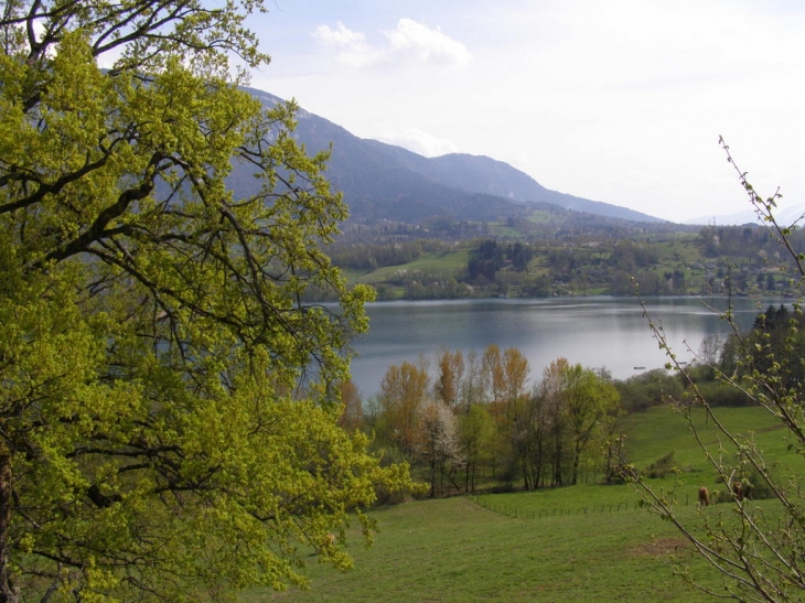 Rive du lac d'aiguebelette au dessous de Saint Alban - Saint-Alban-de-Montbel