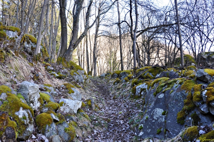 Sentier  de la Chapelle des Voûtes - Le Premier Villard - Saint-Alban-des-Villards