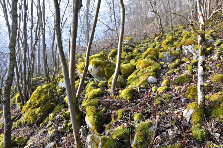 Sentier  de la Chapelle des Voûtes - Le Premier Villard - Saint-Alban-des-Villards