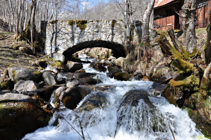 Torrent du Merlet - Les Moulins - Le Premier Villard - Saint-Alban-des-Villards