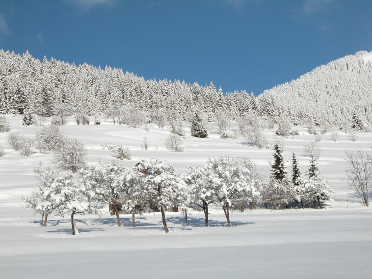 La Charrière - Saint-Jean-d'Arves