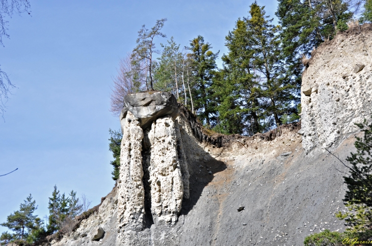 Demoiselle coiffée ( Fée ) - Les Essarts - Tourmentier - Saint-Julien-Mont-Denis