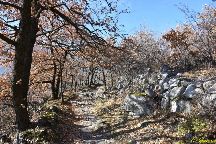 Sentier de Saint-Martin-de-la Porte à Saint-Julien Montdenis - Saint-Julien-Mont-Denis