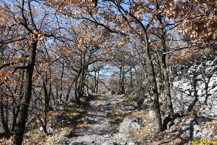 Sentier de Saint-Martin-de-la Porte à Saint-Julien Montdenis - Saint-Julien-Mont-Denis