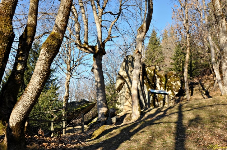 Dolmen - Le Thyl - Saint-Michel-de-Maurienne