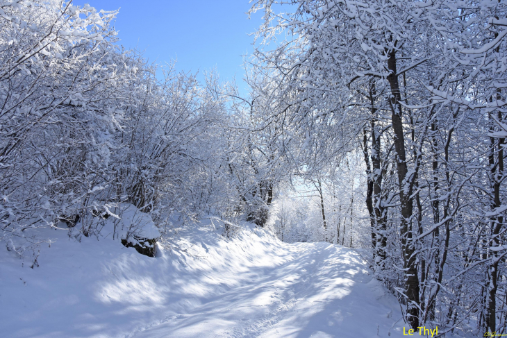 Balade au Thyl - Premières neiges - Saint-Michel-de-Maurienne