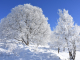 Photo précédente de Saint-Michel-de-Maurienne Balade au Thyl - Premières neiges