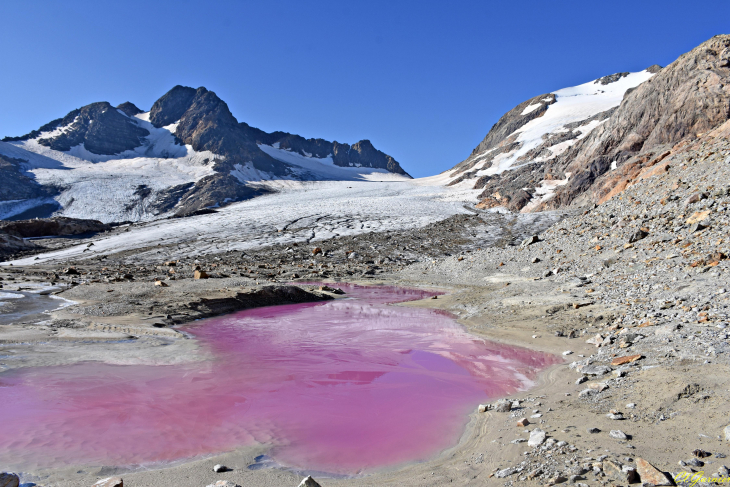 Fluorescéine - Pied du Glacier de Saint Sorlin - Saint-Sorlin-d'Arves