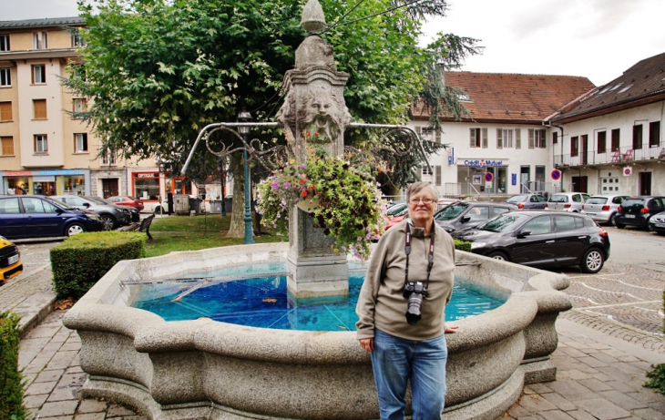 Fontaine - Ugine