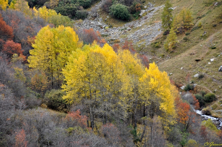 Couleurs d'Automne - Combe de l'Aiguille Noire - Valloire