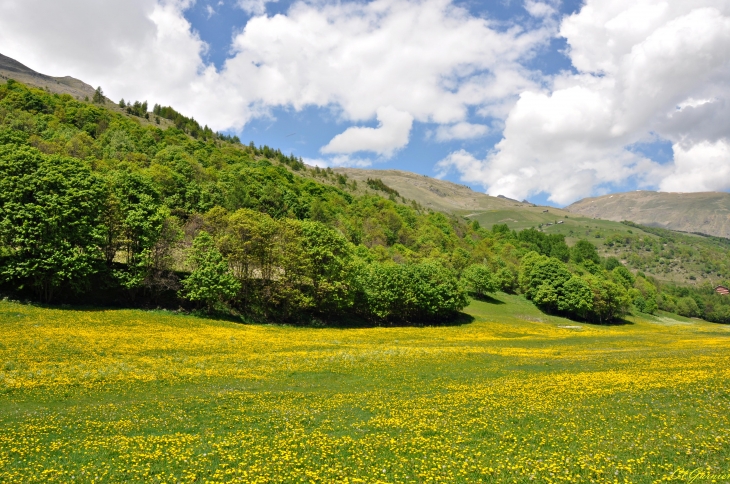 Golf - les Verneys - Valloire