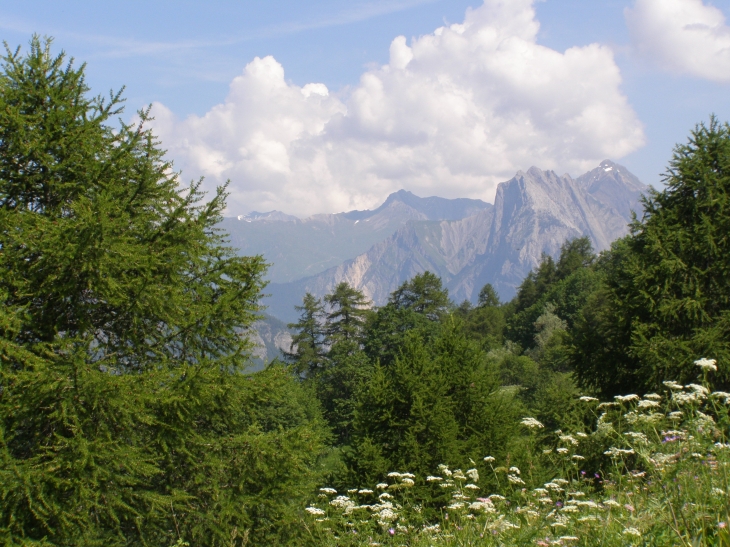 Entre le col du télégraphe et Valloire 