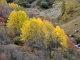 Photo précédente de Valloire Couleurs d'Automne - Combe de l'Aiguille Noire