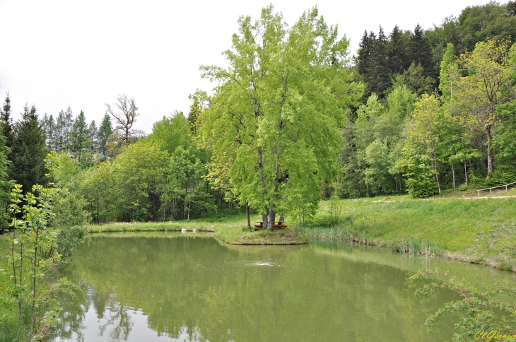 Base de loisirs de la Tigny - Villarembert