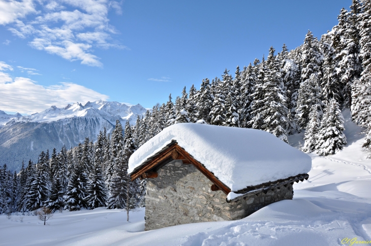 Vallon de l'Orgère - Villarodin-Bourget