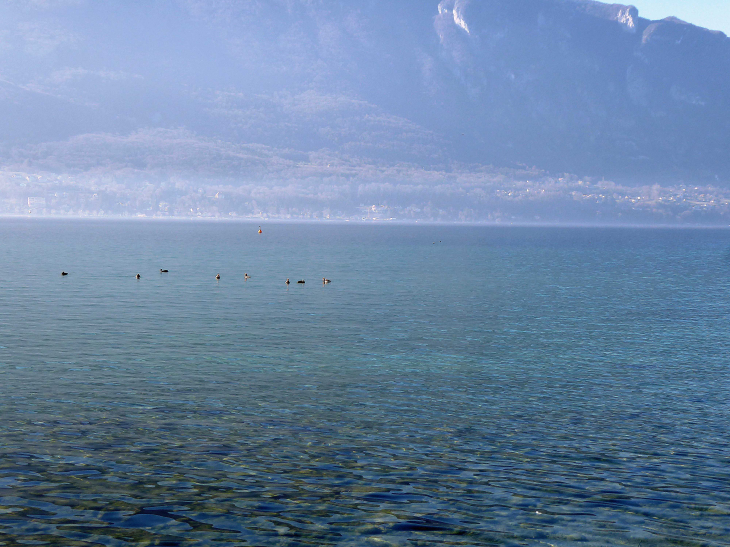 Vue sur le lac du Bourget et la montagne de l'Epine - Viviers-du-Lac